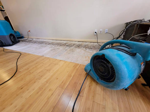 Professional Flood Damage Cleanup technician working in Sylvania, OH